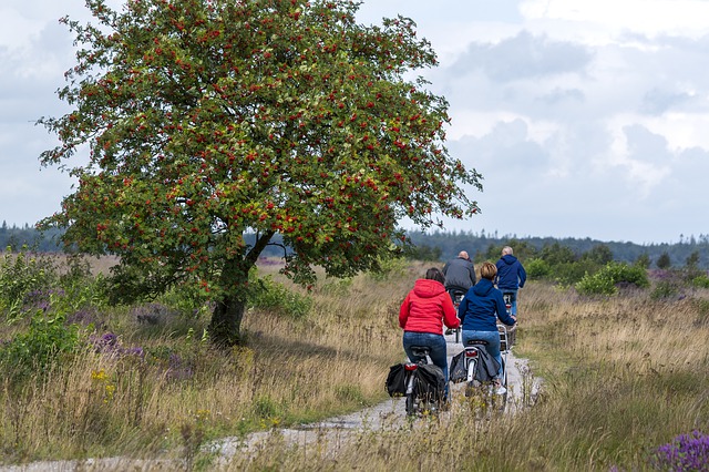 fietsroutes door duinalndschap in Nederland