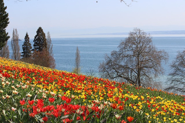 Bloemeneiland Mainau