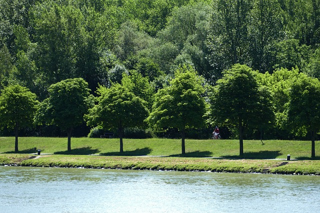 donauradweg