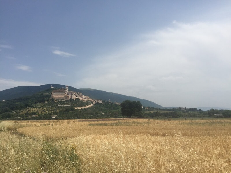 Assisi in de verte