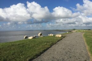 De LF Zuiderzeeroute: fietsen rond het IJsselmeer