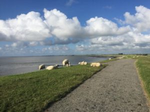 zuiderzeeroute