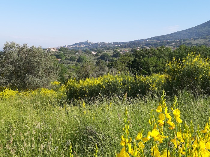 Assisi standplaats Meravigliosa Umbria