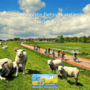 Nieuwe Nederlandse Fietsvakanties bij Eye4Cycling