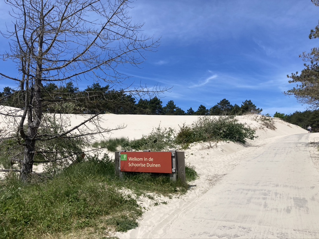 Schoorlse duinen