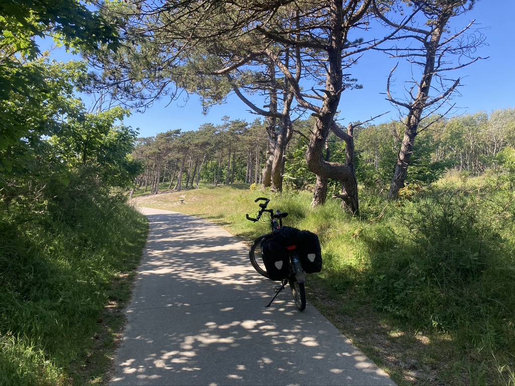 Fietsen door de Bosjes Zeeland