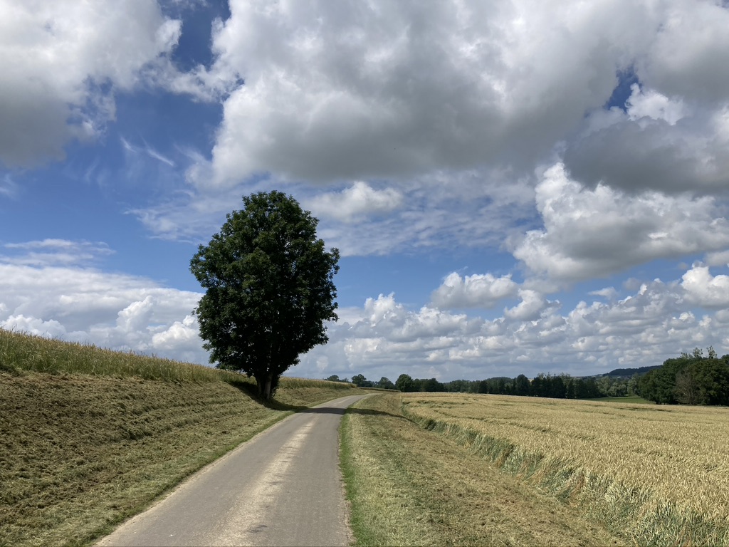 Fietsen in Noord-Frankrijk