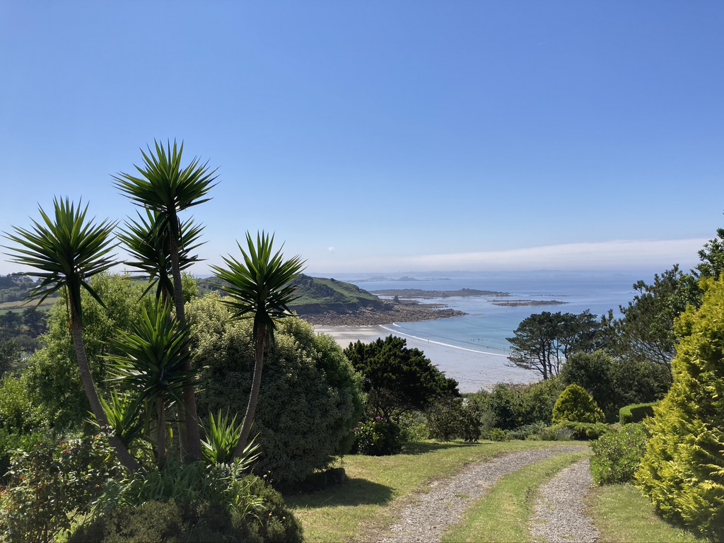 palmbomen bij zee in bretagne