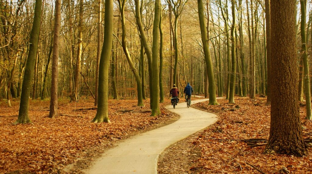 Fletcher Klavertje Vier Fietsen over de Veluwe-Zuid