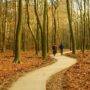 Fletcher Klavertje Vier Fietsen over de Veluwe-Zuid