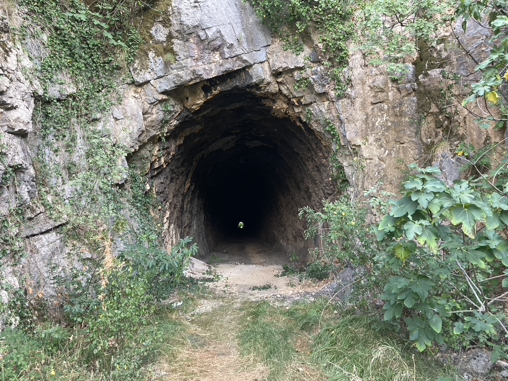 vleermuistunnel Ćiro