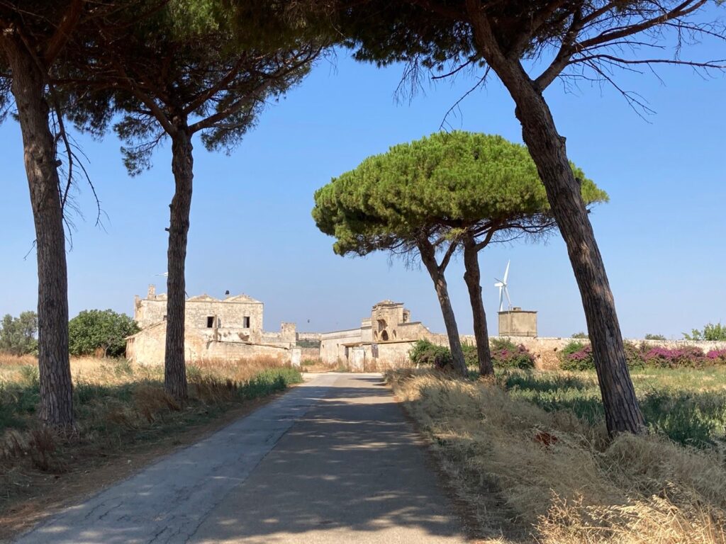 Fietsen in Puglia typisch landschap