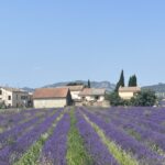 Fietsen in de Provence