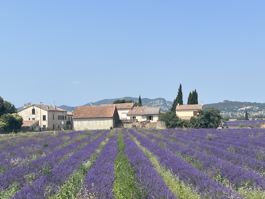 Plateau de Valensole