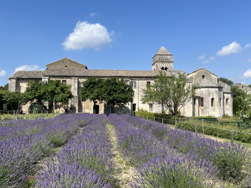 De achtertuin van het Klooster Saint-Paul-de-Mausole