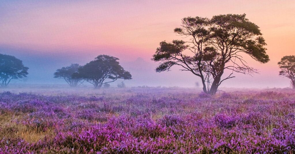 Ervaringen met het Fletcher Klavertje Vier fietsen Veluwe