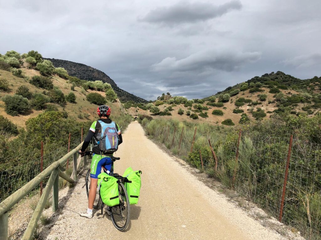 Onderweg van Ronda naar Sevilla (Sapnje)